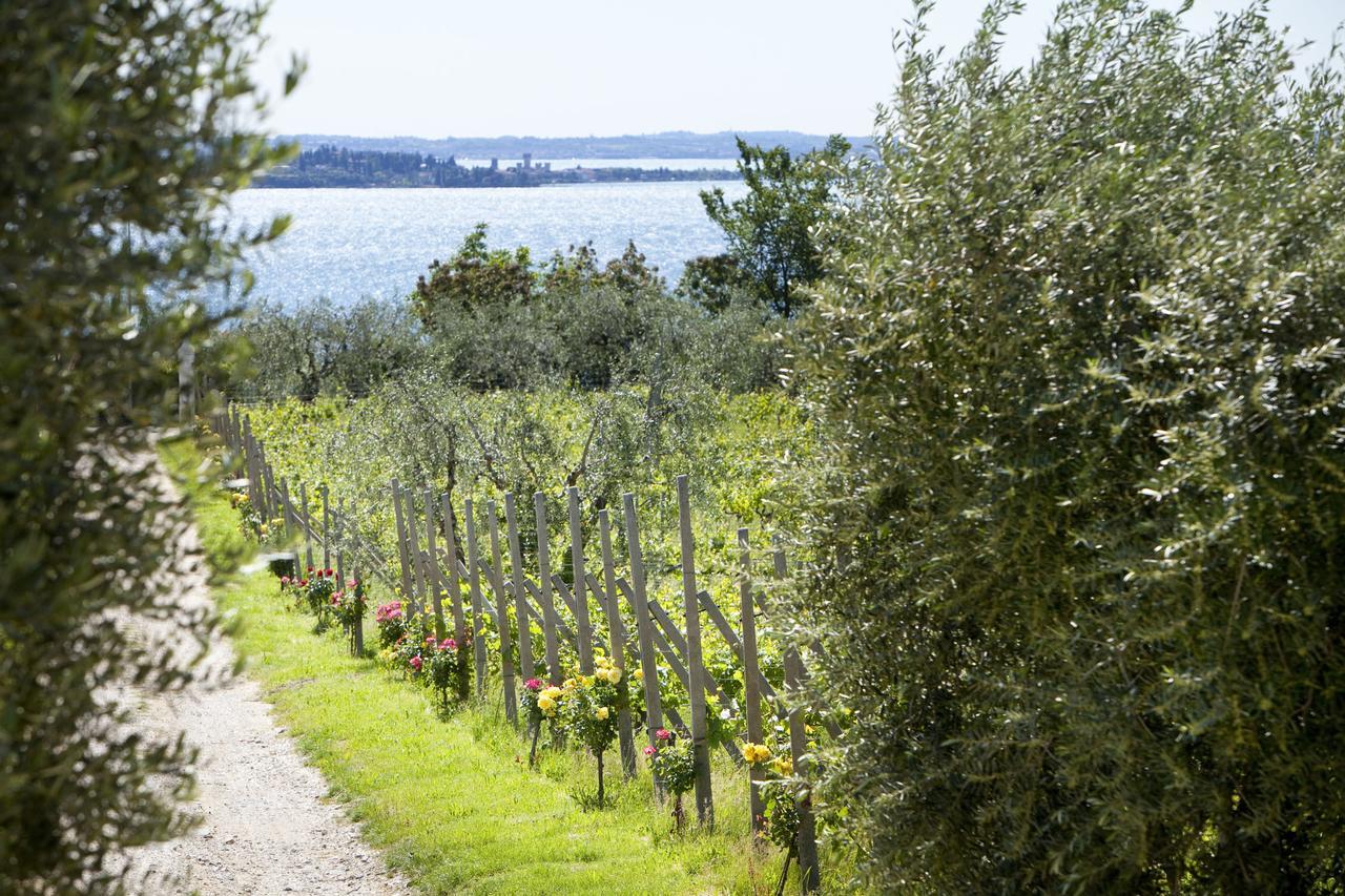 Agrigturismo Monte Cicogna Villa Moniga del Garda Eksteriør bilde