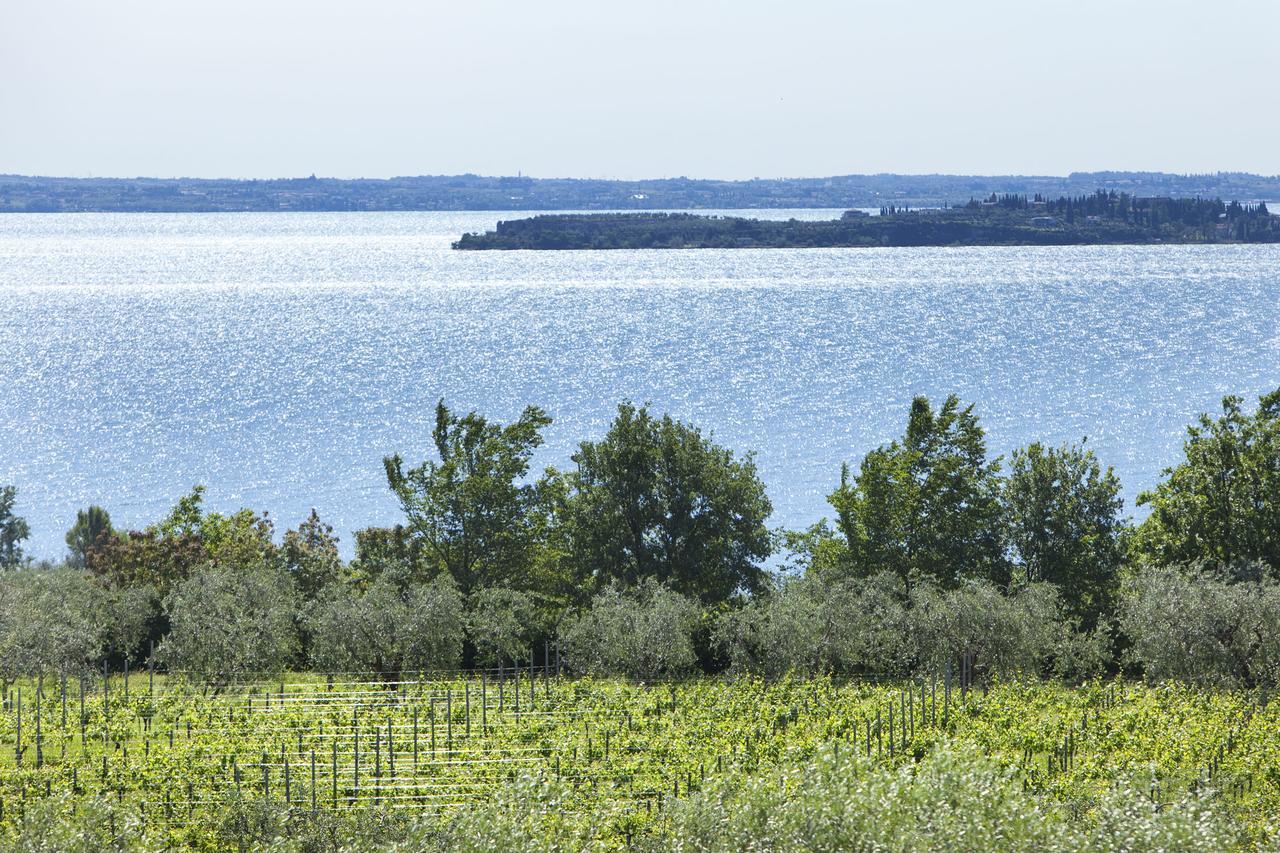 Agrigturismo Monte Cicogna Villa Moniga del Garda Eksteriør bilde