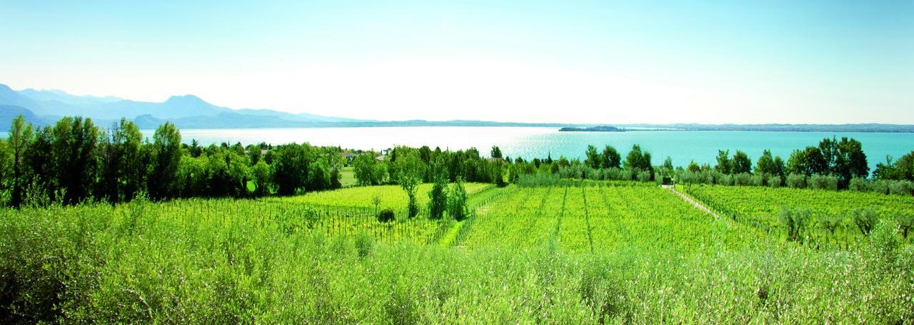 Agrigturismo Monte Cicogna Villa Moniga del Garda Eksteriør bilde